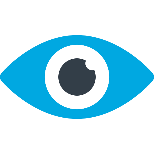 Vision Icon